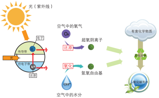 沒有紫外線光觸媒能不能除甲醛？