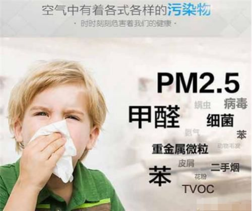為何除甲醛加盟環保項目會如此火爆